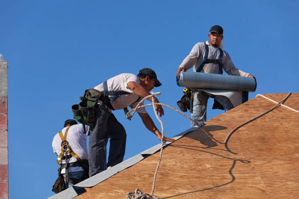 Best New Roof Installation  in Port Edwards, WI