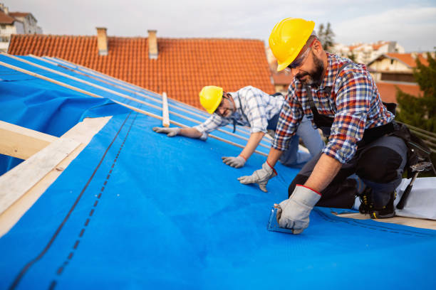 Best Gutter Installation and Roofing  in Port Edwards, WI