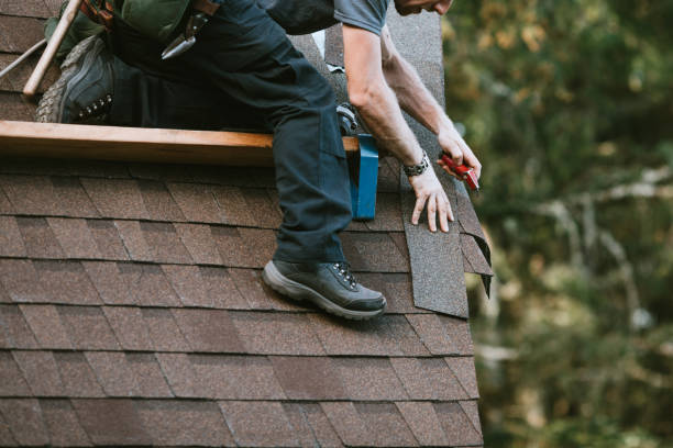 Best Metal Roofing Contractor  in Port Edwards, WI